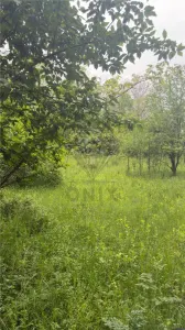 Teren Intravilan de Vânzare Cornu, Prahova | 50 â‚¬/mp - foto 6