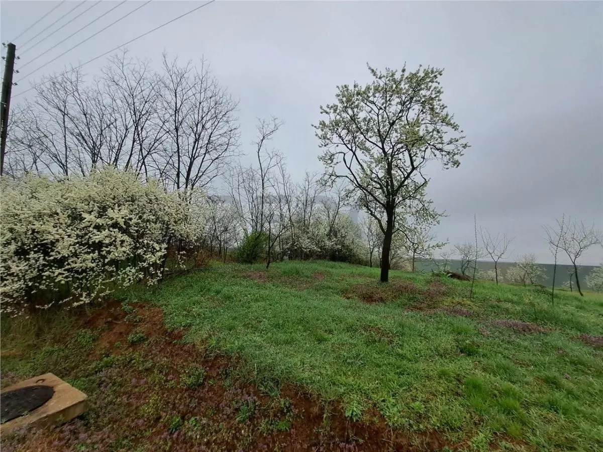 RECO teren Ghenetea - foto 1