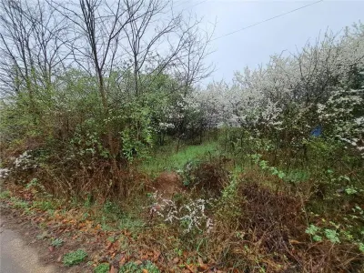 RECO teren Ghenetea - foto 2