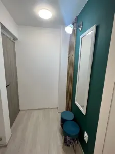 Apartament 2 camere CENTRU -UMF - foto 6