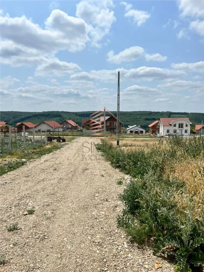 Teren de vanzare zona Betfia - foto 1