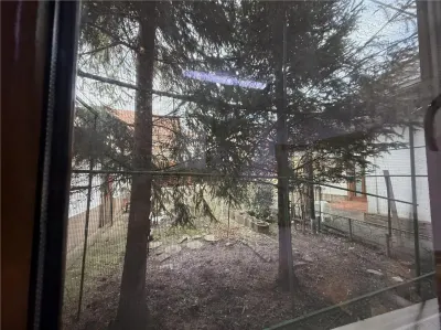 CASA INDIVIDUALA MOARA DE VANT S+P+M BECI GARAJ - foto 22