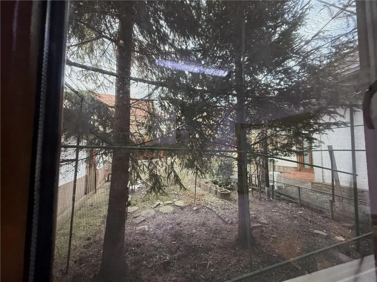 CASA INDIVIDUALA MOARA DE VANT S+P+M BECI GARAJ - foto 22