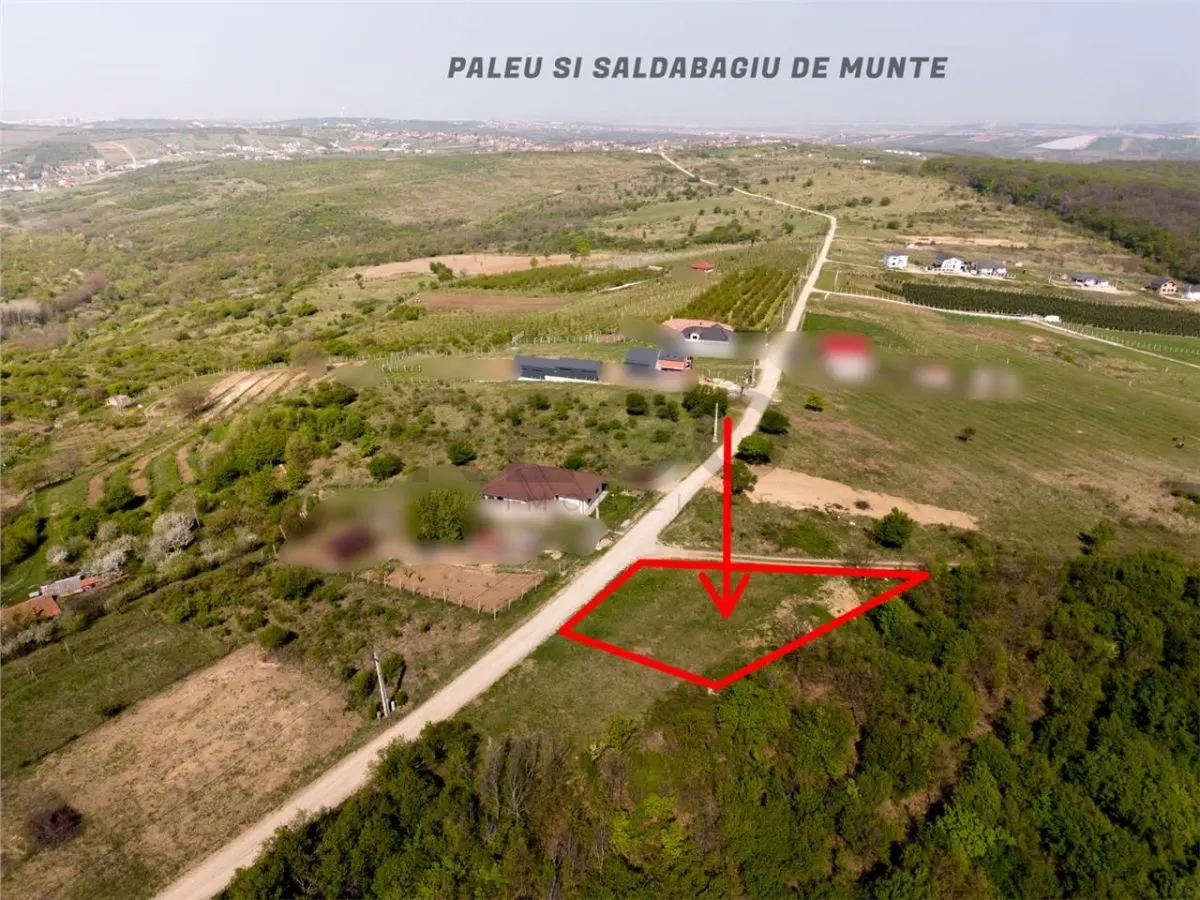 RECO Teren intravilan, dublu front, Saldabagiu de Munte - foto 3