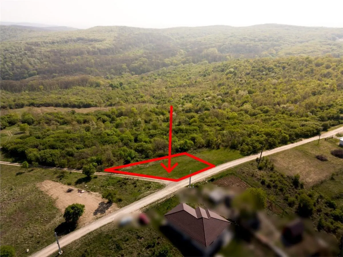 RECO Teren intravilan, dublu front, Saldabagiu de Munte - foto 4