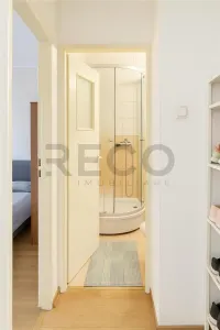 RECO Apartament cu 4 camere, decomandat, in Nufarul, la etajul 1 - foto 12
