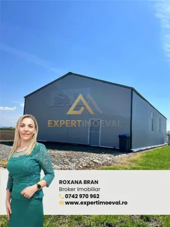 Spațiu industrial Salsig - poza 1