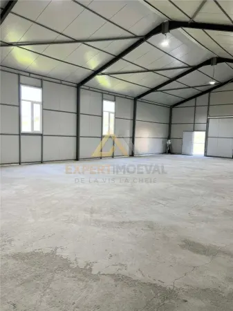 Spațiu industrial Salsig - poza 5