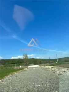 Hala noua de inchiriat - foto 10