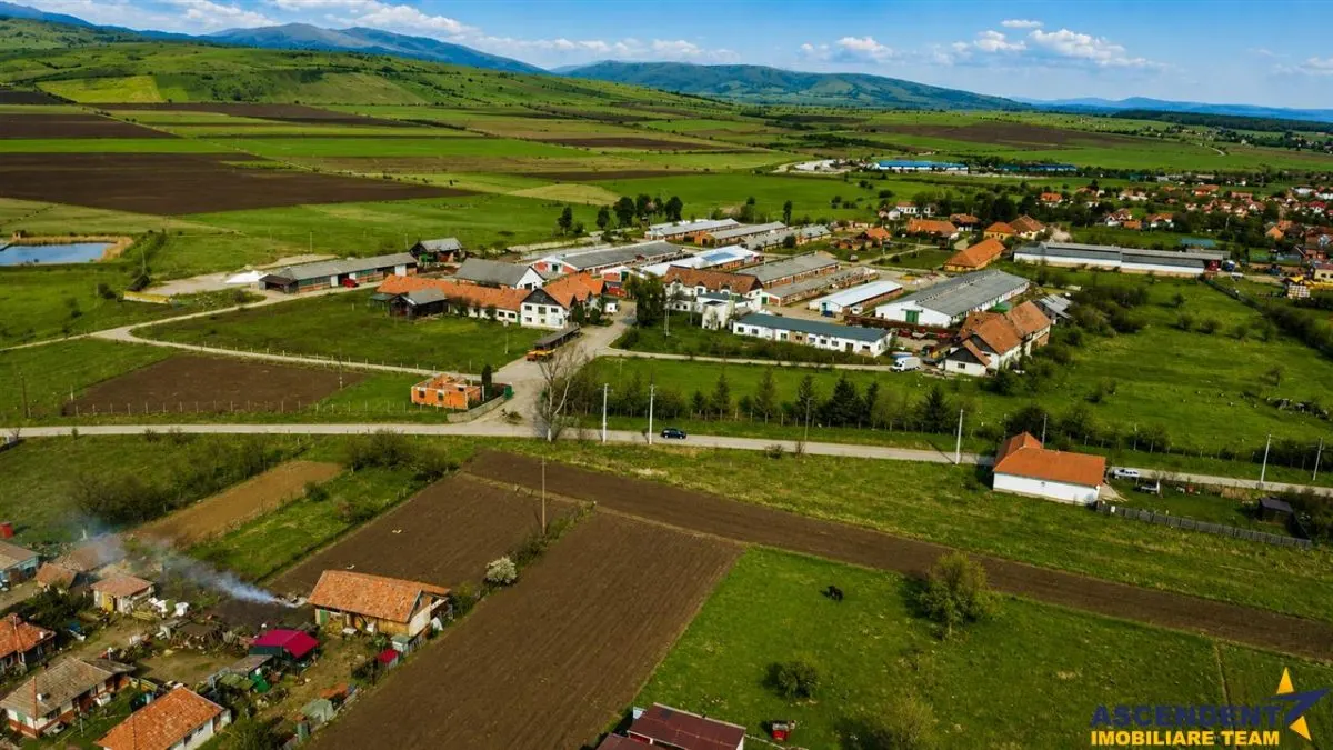 FILM! +25.400mp teren+Complex agrozootehnic cu traditie, accesorizat+ potential A,Borosneu - foto 10