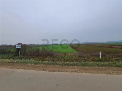RECO teren Chiribis - foto 4