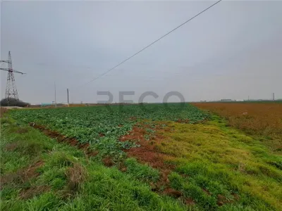 RECO teren intrare Chiribis - foto 4