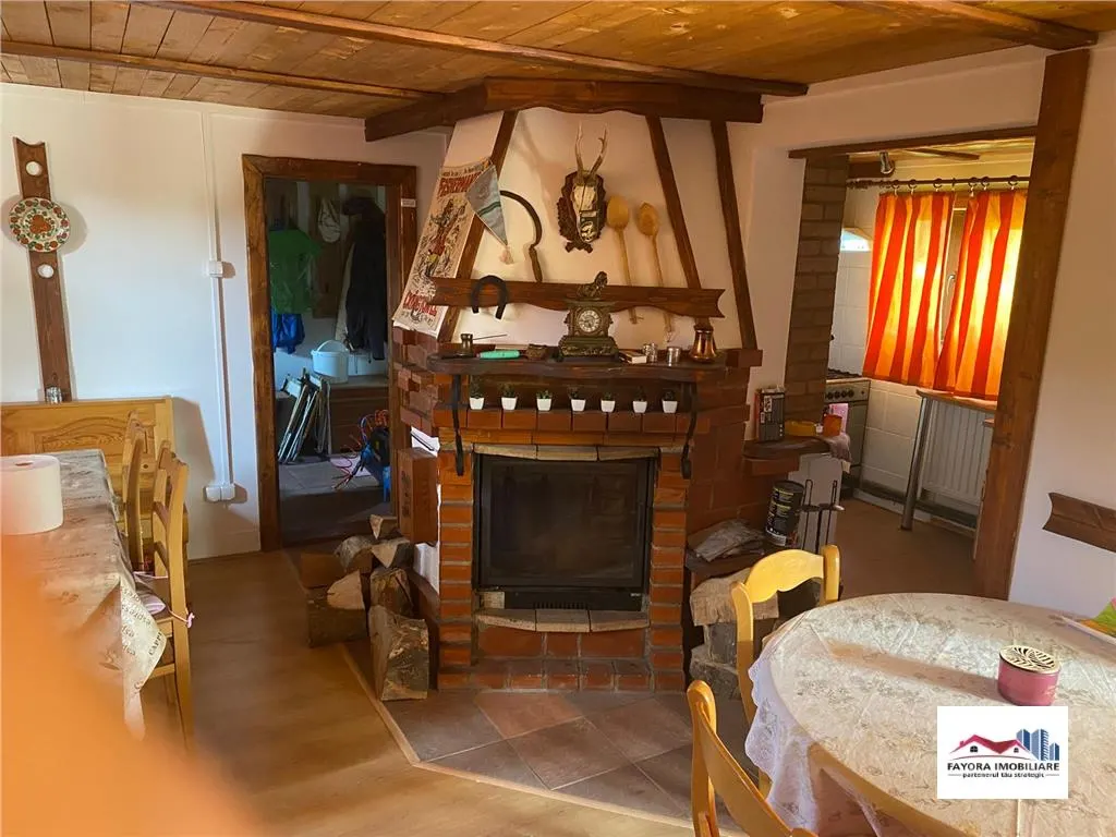 Cabana de Vanzare Zona Bistra Muresului - Deda - foto 1