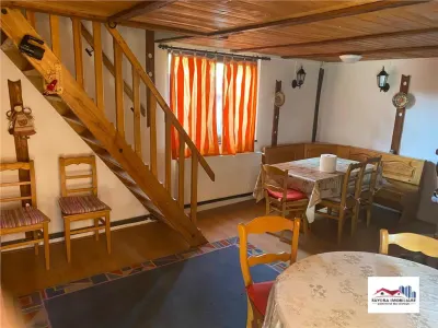 Cabana de Vanzare Zona Bistra Muresului - Deda - foto 2