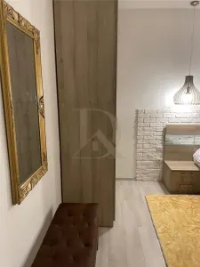Apartament EXCLUSIVIST Ultracentral â€“ Piata Unirii  Vasile Alecsandri - foto 3