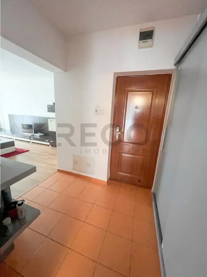 RECO Apartament 2 camere în Nufarul - foto 2