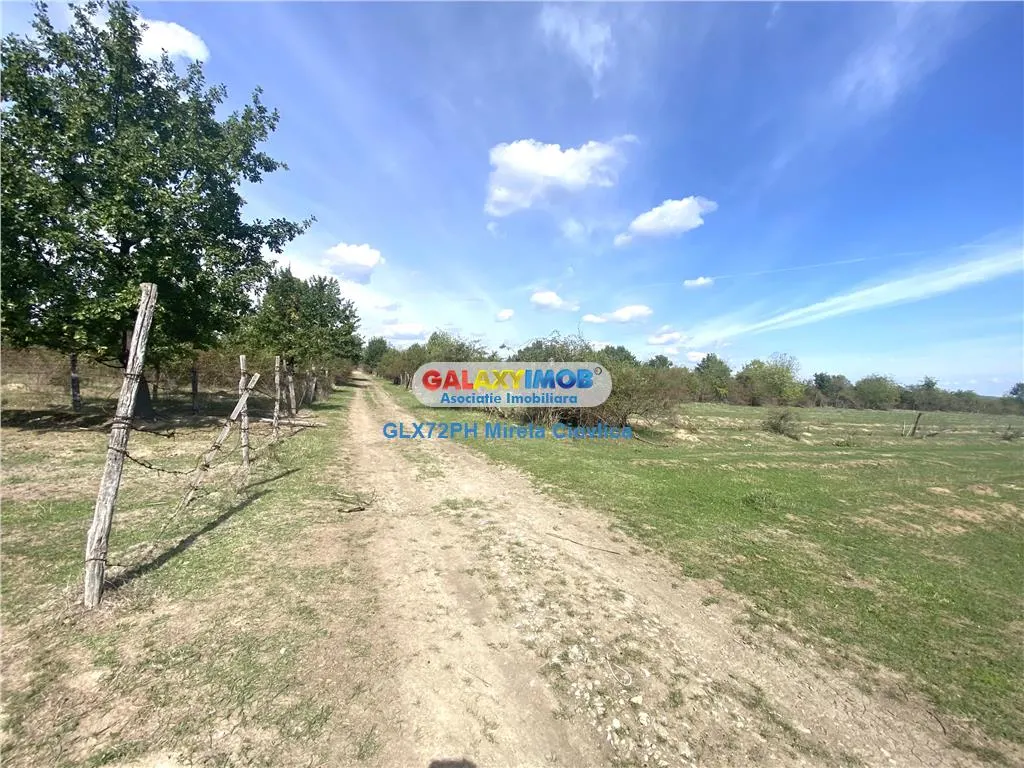 Vanzare teren intravilan Baicoi Pahova - foto 1
