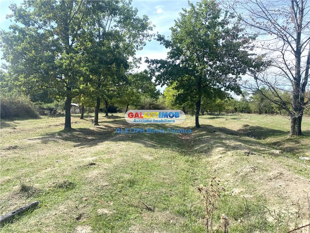 Vanzare teren intravilan Baicoi Pahova - foto 2