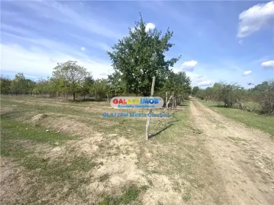 Vanzare teren intravilan Baicoi Pahova - foto 7