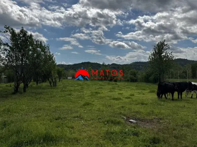 Teren construibil 5.164 mp | Brebu Megiesesc, Prahova | Dublu acces | 145.000 Euro - foto 3