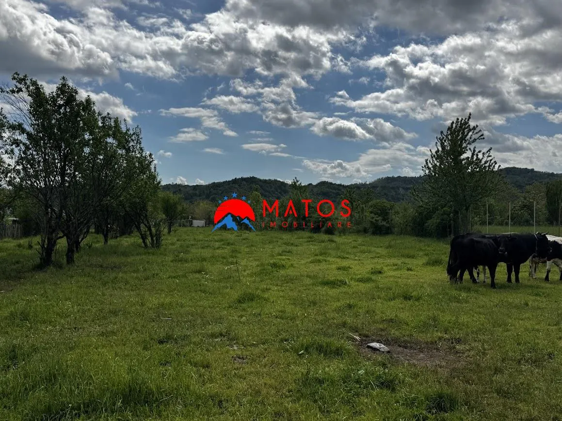 Teren construibil 5.164 mp | Brebu Megiesesc, Prahova | Dublu acces | 145.000 Euro - foto 3