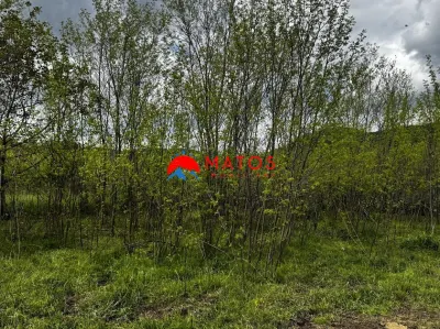 Teren construibil 5.164 mp | Brebu Megiesesc, Prahova | Dublu acces | 145.000 Euro - foto 4