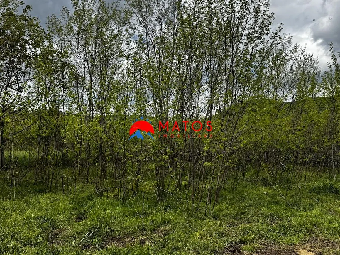 Teren construibil 5.164 mp | Brebu Megiesesc, Prahova | Dublu acces | 145.000 Euro - foto 4