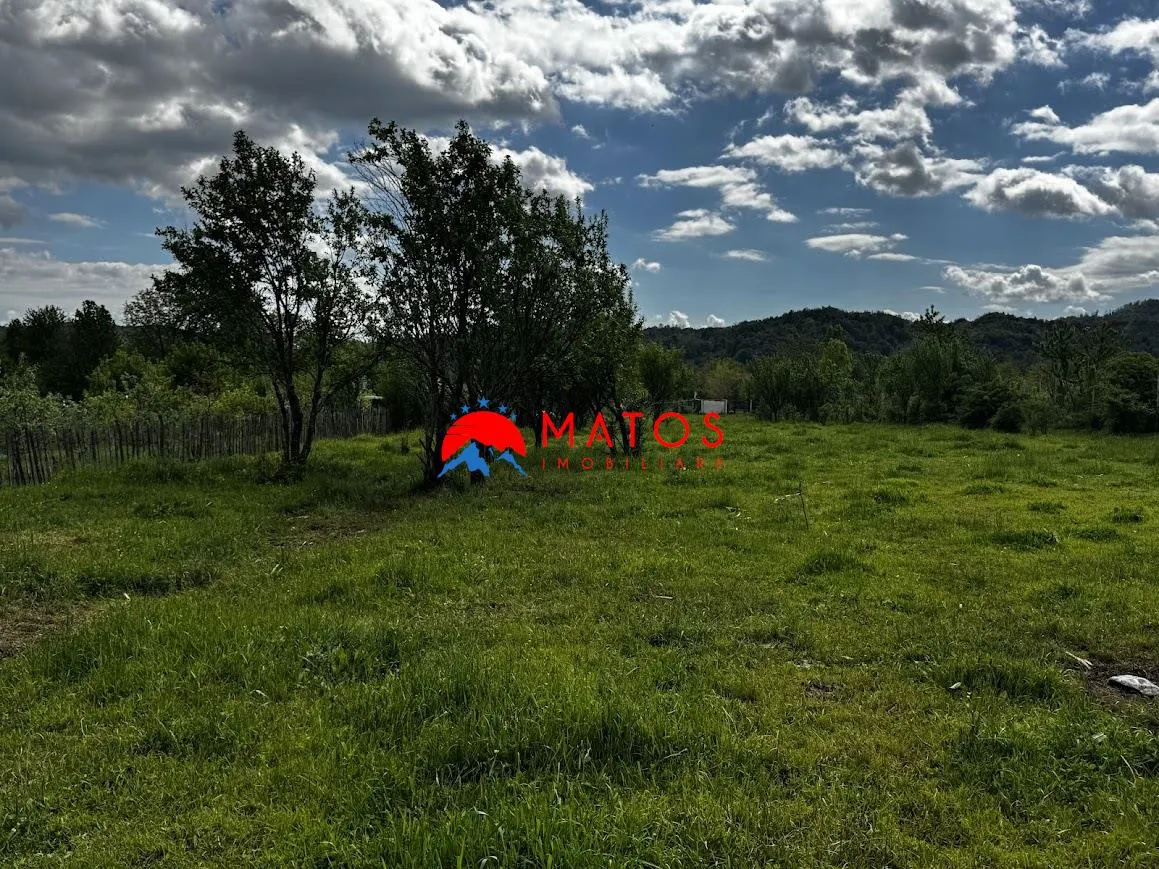 Teren construibil 5.164 mp | Brebu Megiesesc, Prahova | Dublu acces | 145.000 Euro - foto 5