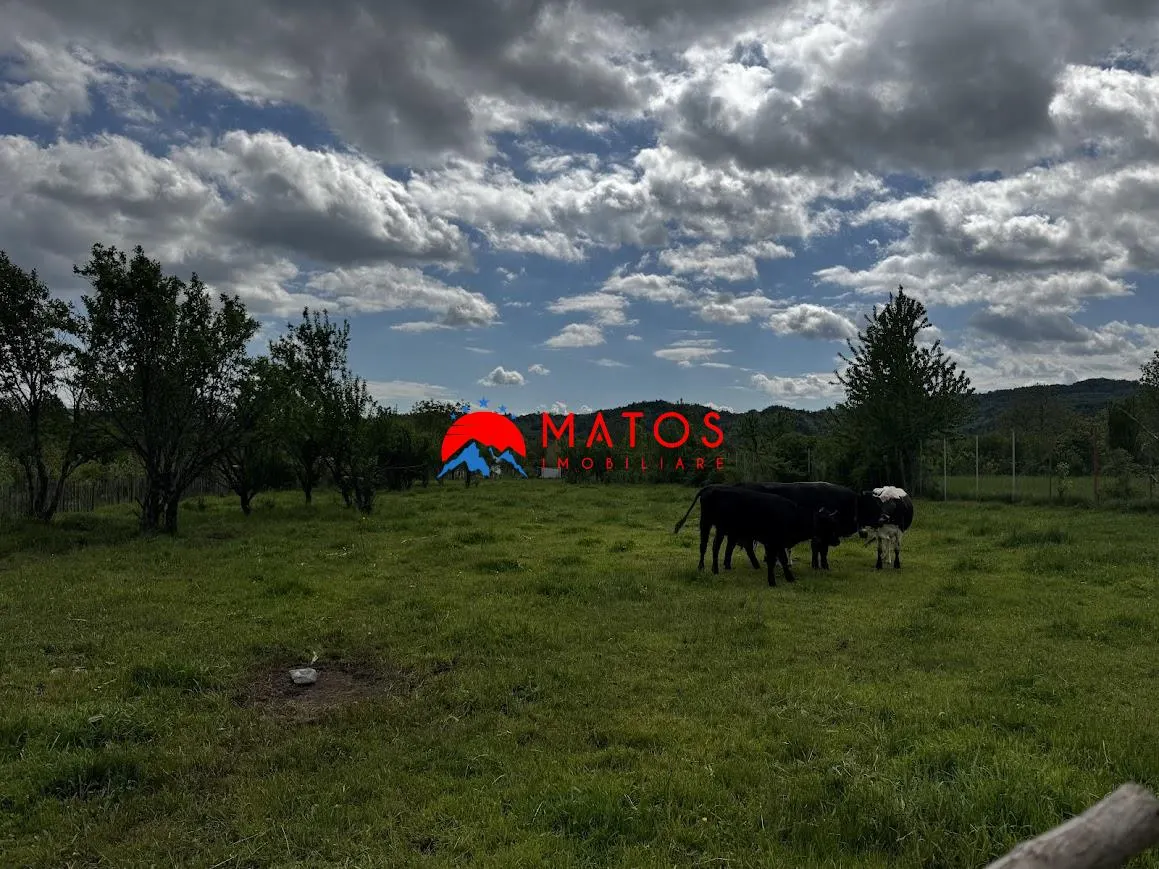 Teren construibil 5.164 mp | Brebu Megiesesc, Prahova | Dublu acces | 145.000 Euro - foto 6