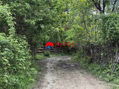 Teren construibil 5.164 mp | Brebu Megiesesc, Prahova | Dublu acces | 145.000 Euro - foto 9