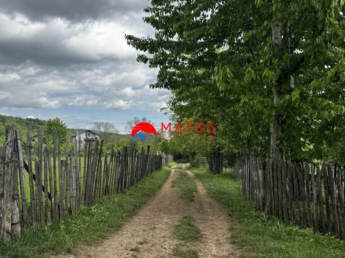 Teren construibil 5.164 mp | Brebu Megiesesc, Prahova | Dublu acces | 145.000 Euro - foto 10