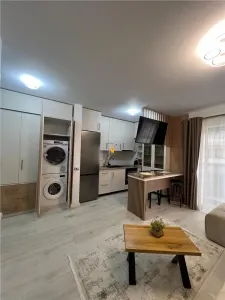 Inchiriere garsoniera zona Vest - foto 4