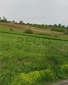 RECO Teren extravilan in Dragesti spre Stracos 24000mp - Dragesti