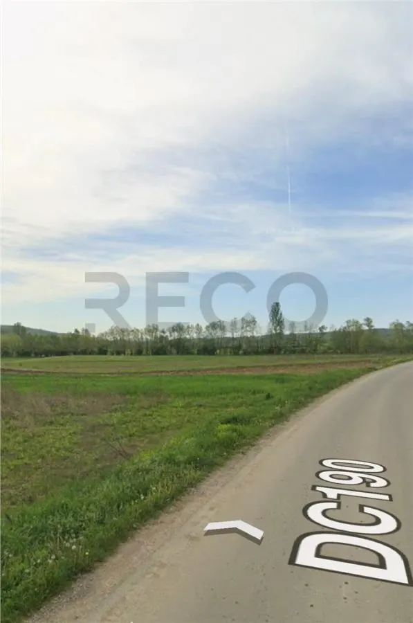 RECO Teren extravilan in Dragesti spre Stracos 24000mp - foto 2