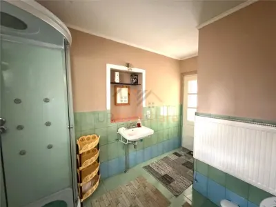 CASA CU TEREN 1081 MP | ACCES AUTO | ZONA SACUIENI | LOCALITATEA CADEA | BIHOR - foto 11