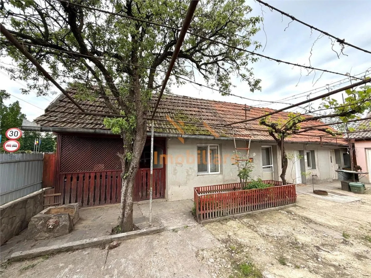 CASA CU TEREN 1081 MP | ACCES AUTO | ZONA SACUIENI | LOCALITATEA CADEA | BIHOR - foto 12