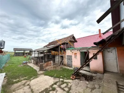 CASA CU TEREN 1081 MP | ACCES AUTO | ZONA SACUIENI | LOCALITATEA CADEA | BIHOR - foto 21