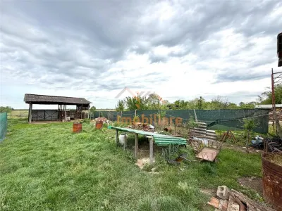 CASA CU TEREN 1081 MP | ACCES AUTO | ZONA SACUIENI | LOCALITATEA CADEA | BIHOR - foto 25