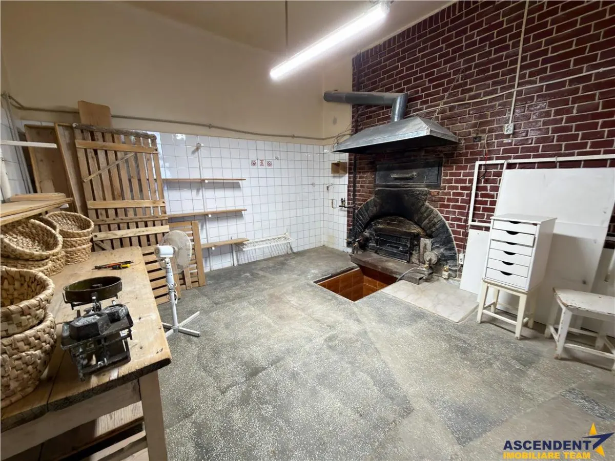 3D!Ansamblu casa+productie+comercial, 3 corpuri,acces stradal,Tudor,Targu Mures, potential ridicat - foto 18