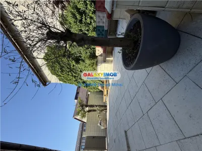 Casa individuala/exclusivista-Mobilata-utilata/Mansarda-Terasa - foto 36