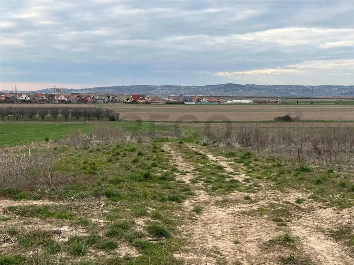RECO Teren intravilan 700 mp cu toate utilitatile- la asfalt Cheriu - foto 3