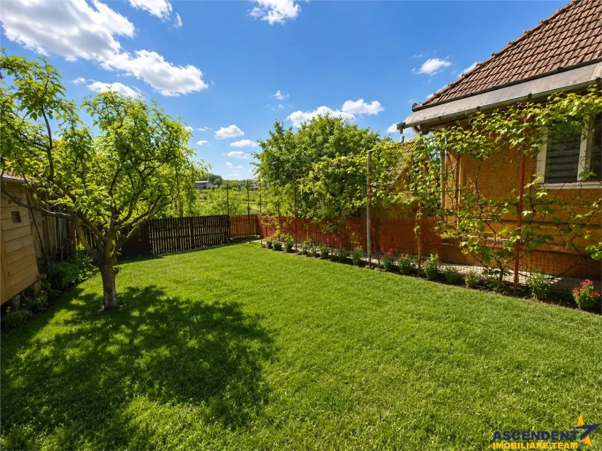 Casa cu farmec autentic, anexe, 1.100 mp teren roditor, Saulia, Mures - foto 7