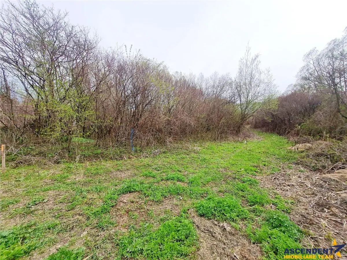Teren 1.700 mp intravilan, natura, vecinatati bune, potential dublu, Lunca Calnicului - foto 11