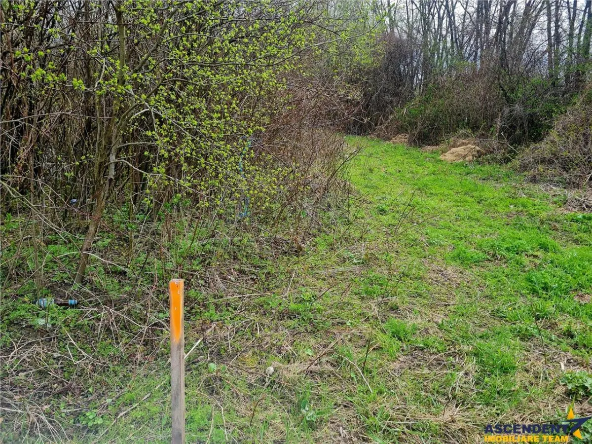 Teren 1.700 mp intravilan, natura, vecinatati bune, potential dublu, Lunca Calnicului - foto 5