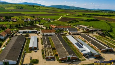 FILM! Complex agrozootehnic cu traditie, echipat + pretios potential multiplu - foto 5