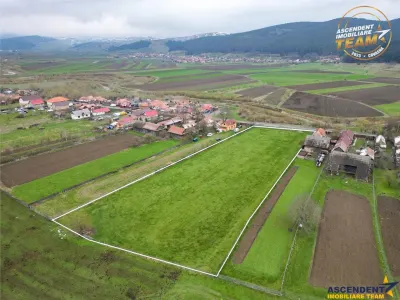 FILM!Potential rezidential/ investitional: 8.000 mp intravilan construibil, Sanzieni, Covasna - Targu Secuiesc