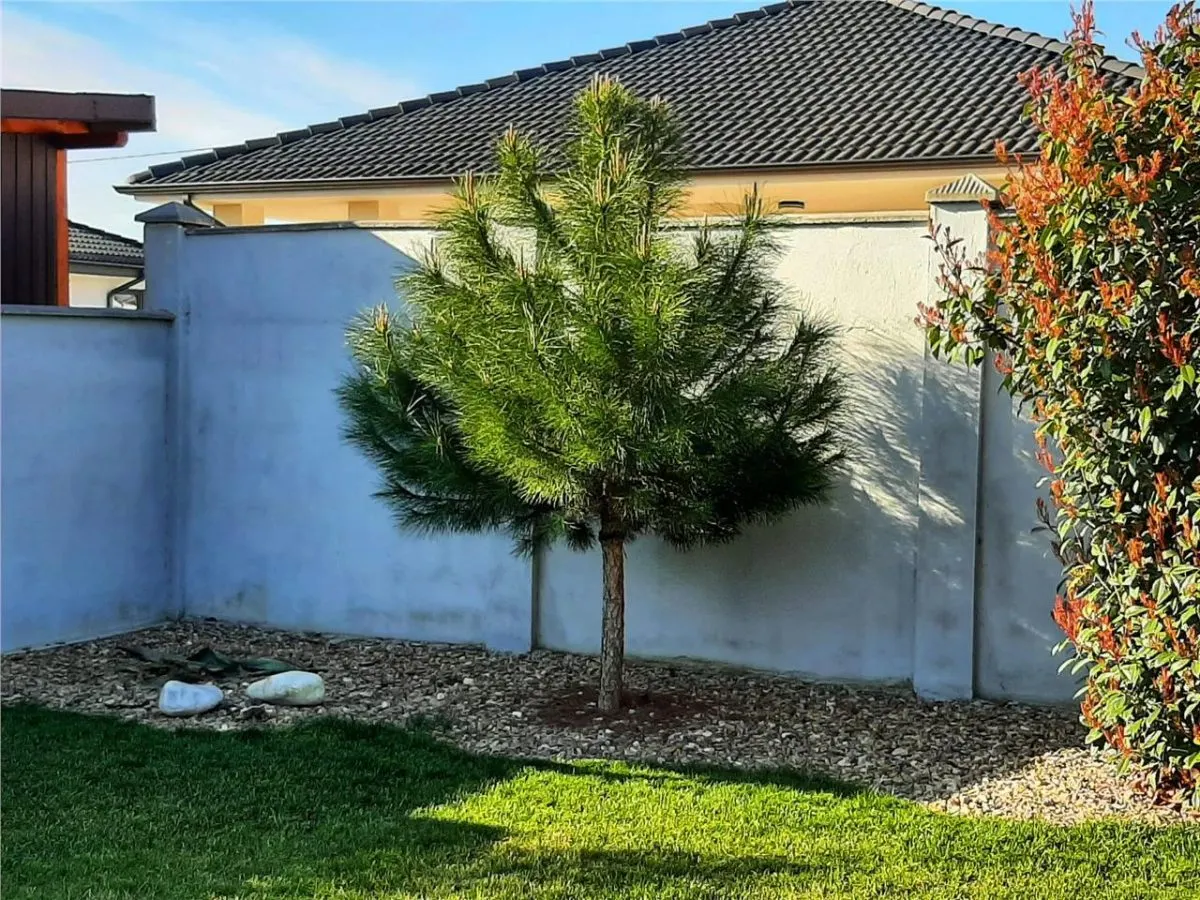 RECO Casa 3 camere în Santandrei - foto 8