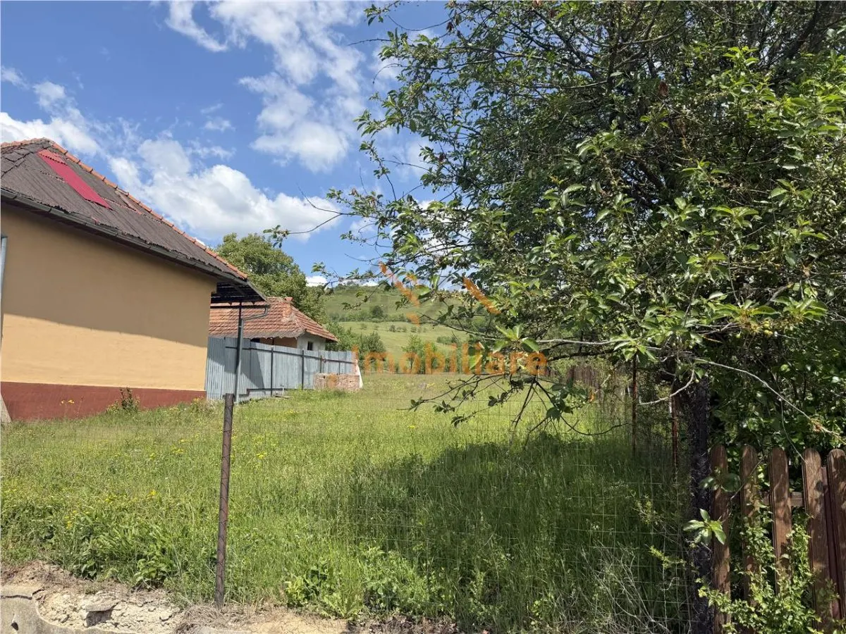 TEREN INTRAVILAN / EXTRAVILAN | DE VANZARE | 1200 MP | ROSIA | BIHOR | - foto 4