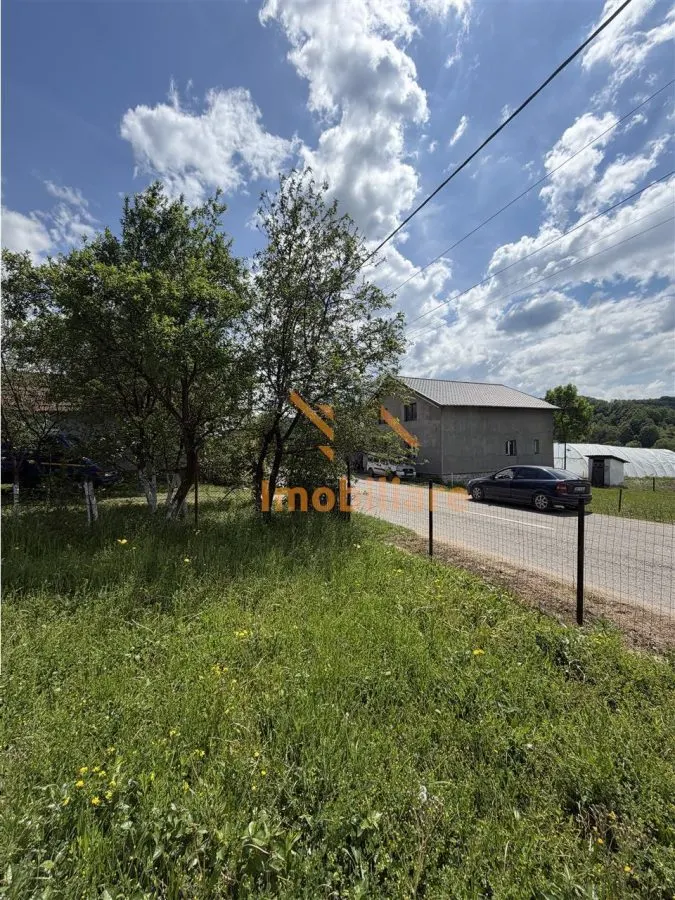 TEREN INTRAVILAN / EXTRAVILAN | DE VANZARE | 1200 MP | ROSIA | BIHOR | - foto 6
