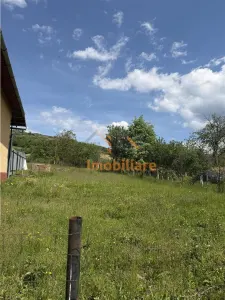 TEREN INTRAVILAN / EXTRAVILAN | DE VANZARE | 1200 MP | ROSIA | BIHOR | - foto 7